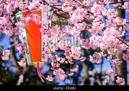 Tokyo, Japan springtime at Ueno Park. Stock Photo