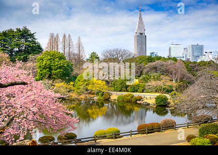 Shinjuku Gyoen Park, Tokyo, Japan in the spring. Stock Photo