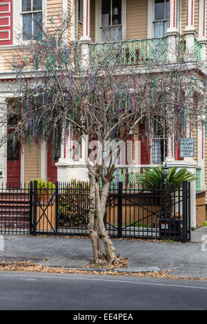 New Orleans, Louisiana.  Tree Decorated with Bead Necklaces from Mardi Gras Season.  Uptown District. Stock Photo