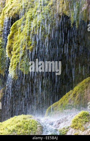 Wasserfall, Wasserfaelle, Schleierfaelle, Wasser, fliessen, Natur, Frische, Feuchtigkeit, Vegetation, Moos, gruen, Bewegung, Deu Stock Photo