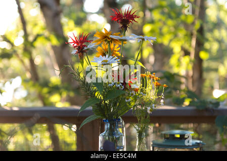 Close-up of flowers in a vase, Lake of The Woods, Ontario, Canada Stock Photo