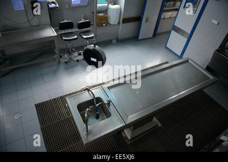 AUTOPSY Stock Photo, Royalty Free Image: 49249129 - Alamy