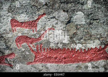 Rock engraving at Himmelstalund one of Sweden's biggest collection of petroglyphs with more than 1660 pictures Bronze age Stock Photo