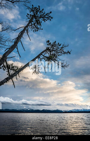 Evening mood of lake at Tutzing Bavaria Germany with trees and clouds Stock Photo