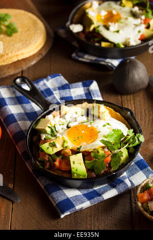 Homemade Heuvos Rancheros with Avocado and Cilantro Stock Photo