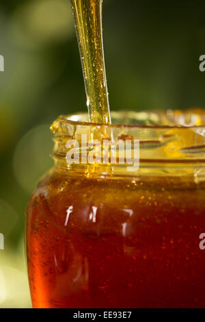 Close-up shot of flowing honey over yellow background Stock Photo