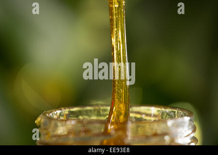 Close-up shot of flowing honey over yellow background Stock Photo