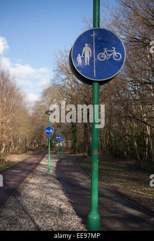 Cycle and pedestrian paths amongst trees, Parkwood, University of Kent on a sunny day showing blue signs on green poles Stock Photo