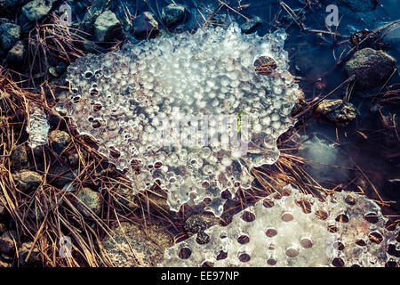 Chunks of melting sea ice on an Alaskan beach. Stock Photo