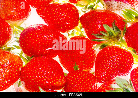 fresh strawberry on white background with light washed fresh fruit health healthy snack sugar sweet fruit RED fructose dessert p Stock Photo