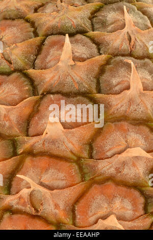macro closeup of fresh pineapple skin portrait Stock Photo