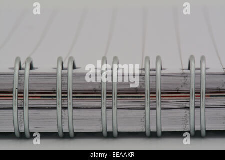 extreme close up of ringed notebook with empty lined page Stock Photo