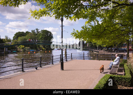 UK, London, Twickenham, man with dog on riverside seat by bridge over  River Thames to Eel Pie Island Stock Photo