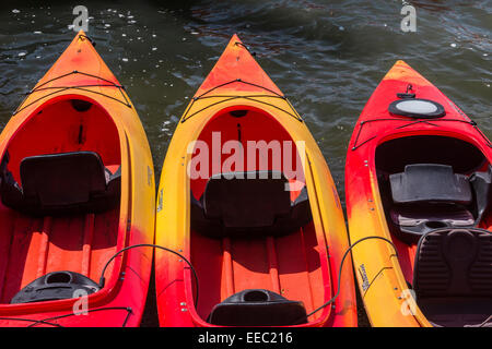 An outfitter's kayaks along the Russian River near its mouth at the Pacific Ocean, Jenner, California, USA Stock Photo