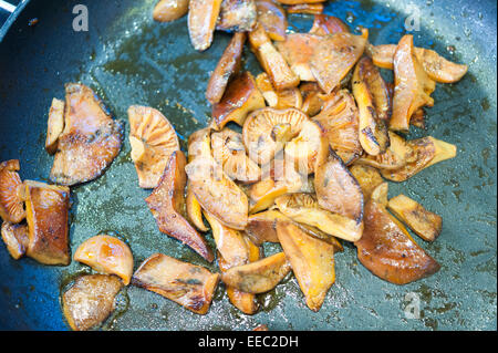 Edible saffron milkcap,  lactarius deliciosus mushrooms cooking in a frying pan Stock Photo