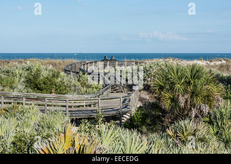 Wooden serpentine walkway winding through coastal habitat of sand dunes, saw palmettos and sea oats with the ocean in the background, Daytona Beach. Stock Photo