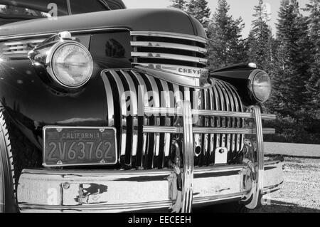 Immaculate 1950's sepia silver chrome Chevrolet pick up truck with Christmas Wreath on fender Mount Shasta & redwoods Stock Photo