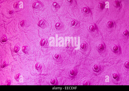 Detail of magenta ostrich leather Stock Photo