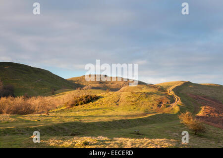 Late afternoon light over British Camp (Herefordshire Beacon) from Hangman's Hill, Malvern Hills, Herefordshire, England, UK Stock Photo