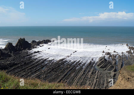 A wave cut platform rock formation on the UNESCO Jurassic World ...