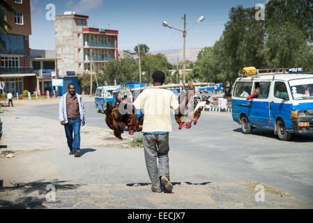 ethiopia street scenes, Mekele or Mekelle, Ethiopia, Africa Stock Photo