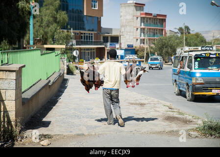 ethiopia street scenes, Mekele or Mekelle, Ethiopia, Africa Stock Photo