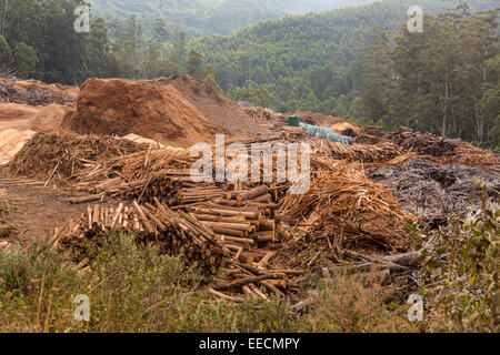 SWAZILAND, AFRICA - Timber industry in Hhohho District. Piles of timber, sawdust and slash near mill. Stock Photo