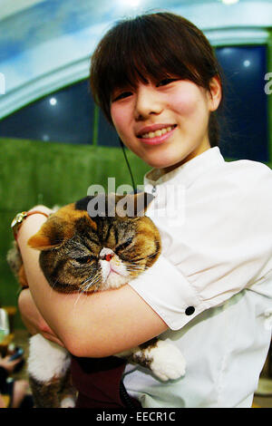 Tokyo, Japan. 15th January, 2015. A staff holds a cat at the 'Temari No Uchi' Cat Cafe in Tokyo, Japan. Temari No Uchi, a Neko Cafe (cat cafe) based in Kichijoji where visitors can watch and interact with 19 cats whilst eating or having a coffee break. The store opened in April 2013 and allows to customers to play with cats and to escape from the stresses of the city life. The entrance fee is 1200 JPY (9.75 USD) on weekdays and 1600 JPY (12.99 USD) on weekend with discounts after 7pm. Drinks and food are charged separately. Credit:  Aflo Co. Ltd./Alamy Live News Stock Photo