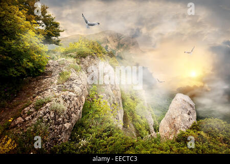 Morning fog in the mountains and big birds Stock Photo