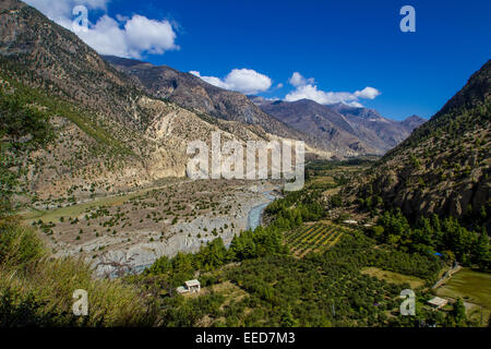 Green farmland contrasts with the scrub brush of the Himalayan rain shadow in the Kali Gandaki gorge. The Gandaki river can be s Stock Photo