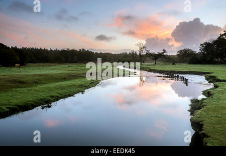 A view of Ober Water in the New Forest. Stock Photo