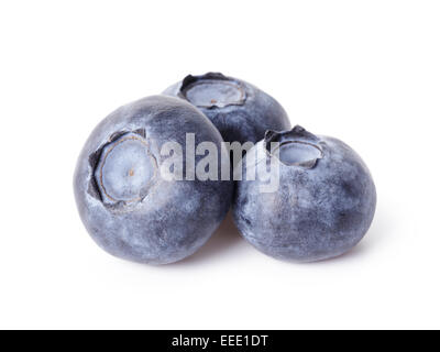 three fresh blueberries isolated on white background Stock Photo