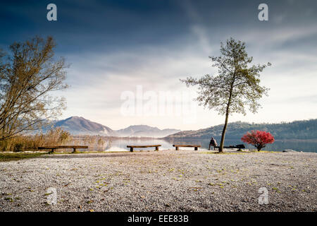A photographer waiting seated on a bench birds to catch Stock Photo