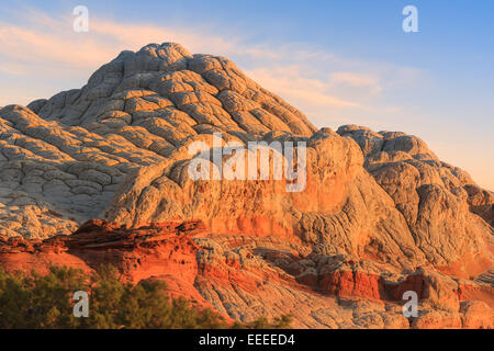 Rock formations in the White Pocket which is part of the Vermilion Cliffs National Monument. Stock Photo