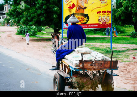 Fulani man in traditional clothing traveling on a horse cart, Senegal. Stock Photo