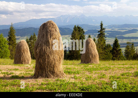 View on Tatry, Gorce Mountains, Beskidy, Beskids