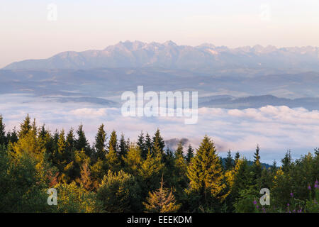 Mountain Luban view on Tatry, Gorce Mountains, Beskidy, Beskids