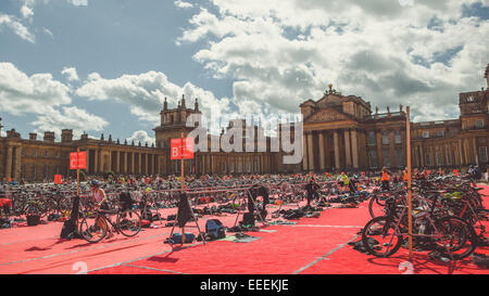 Annual triathlon at Blenheim Palace, 2014. Stock Photo