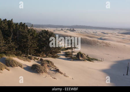 Sand dunes in Oregon Dunes National Recreation Area Stock Photo