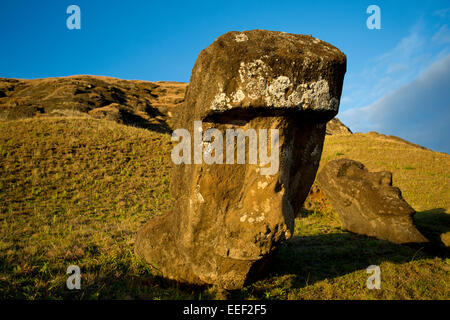 Rano Raraku quarry, Easter Island, Chile, South America, giant statue made of volcanic stone. Stock Photo