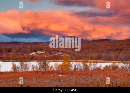 Autumn colors and colorful evening skies at Fokstumyra nature reserve, Dovre kommune, Oppland fylke, Norway. Stock Photo
