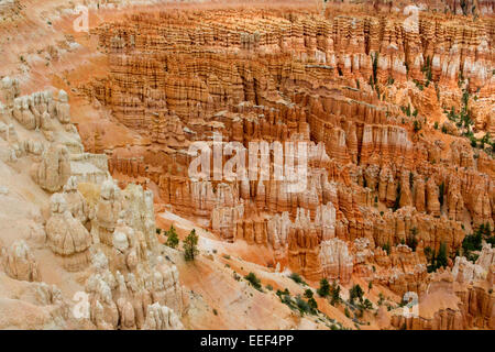 View of hoodoos & other limestone rock formations from Inspiration Point area at Bryce Canyon National Park,Utah,USA in July Stock Photo