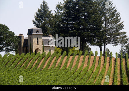Residence situated in the Terra Valentine Winery, Napa Valley, California, USA Stock Photo