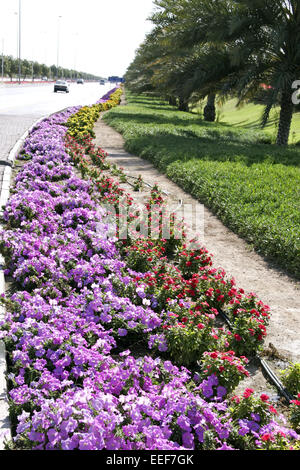 Sultanat Oman Muscat Maskat Masquat Reisen Verkehr Verkehrsinsel Blumen Strasse Autobahn Arabische Halbinsel Naher Osten Sultana Stock Photo