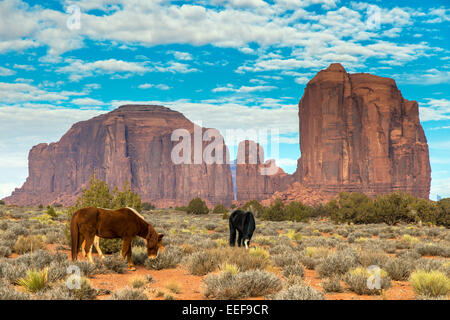 Horses grazing with buttes behind, Monument Valley Navajo Tribal Park, Arizona, USA Stock Photo