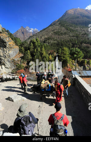 Trekkers crossing the metal suspension bridge over the Dudh Koshi river valley at Phungi Thanga village, Everest base camp trek, Stock Photo