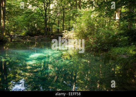 Beiului's eye lake - Ochiul Beiului. Crystal clear mountain lake in the forest. Stock Photo