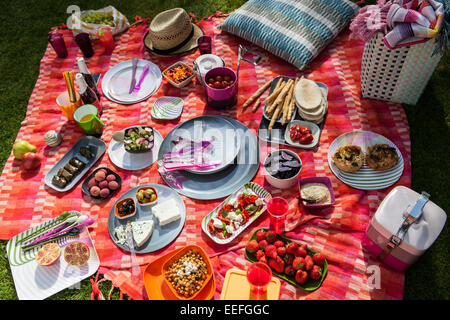 Outdoor picnic with plastic Habitat plates and cutlery. Stock Photo