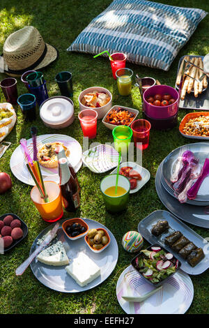 Outdoor picnic with plastic Habitat plates and cutlery. Stock Photo