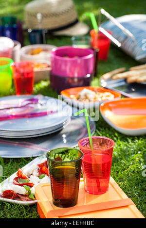 Outdoor picnic with plastic Habitat plates and cups . Stock Photo